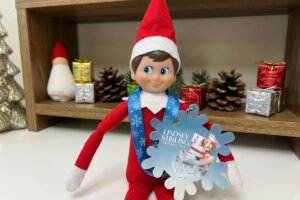 Santa Has Elves. You Have Arnett.
